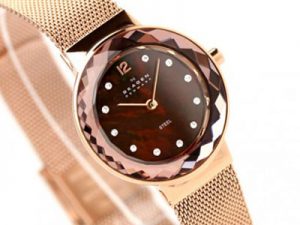 Đồng hồ nữ dây thép không gỉ chống nước Skagen 456SRR1 (8192)
