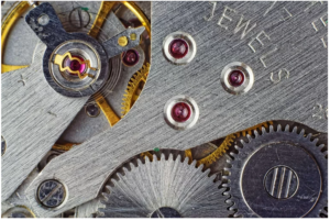 chan kinh dong ho la gi 2