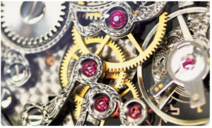 chuc nang cua chan kinh dong ho 12