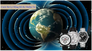 dong ho bi nhiem tu 1