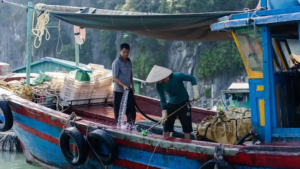hai phong 4