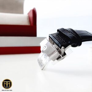 5 Bulova 96C142 Classic Wilton Automatic