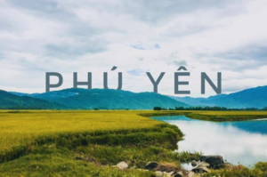 quy nhon 0
