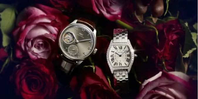 Đồng hồ Richemont 2