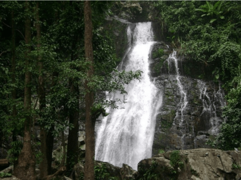 quang nam 12
