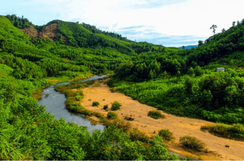 quang nam 16