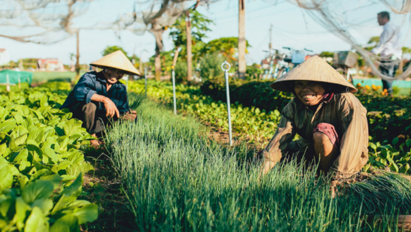quang nam 20