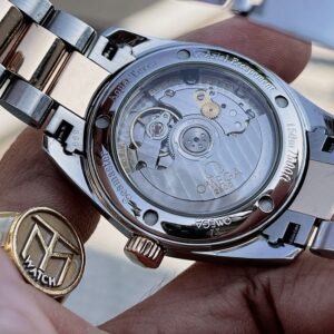 4 Omega Seamaster Aquaterra 2304.30.00