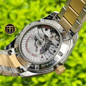 2 Omega Seamaster Aqua Terra 150M Co-Axial 231.20.39.21.06.001