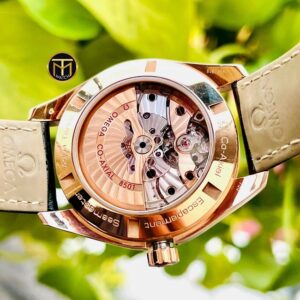 3 Omega Seamaster AquaTerra 18k 231.53.42.21.06.001