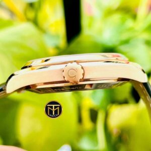 6 Omega Seamaster AquaTerra 18k 231.53.42.21.06.001