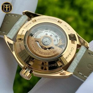 3 Omega Aqua Terra Master Co-Axial 231.53.34.20.01.002