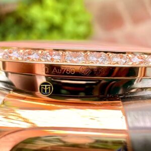 6 Omega Seamaster Aqua Terra 150M 231.25.39.21.55.001