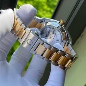 6 Omega Seamaster Aqua Terra 231.20.39.21.55.004