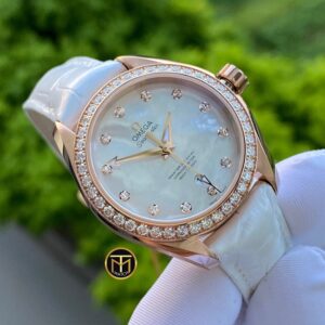 6 Omega Seamaster Aqua Terra 231.58.34.20.55.003