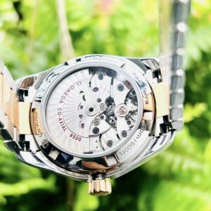 6 Omega Seamaster Aqua Terra Co-Axial 23120392106001