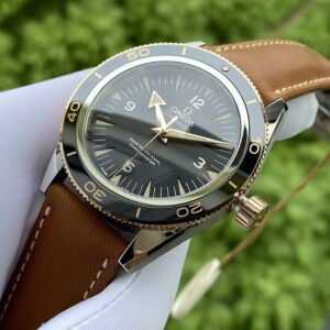 1 Omega Seamaster Co-Axial Chronometer 233.22.41.21.01.002