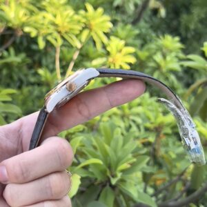 4 Omega Aqua Terra Master 18K 23123392102001