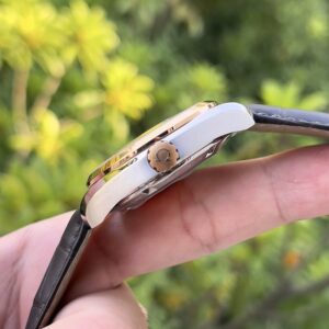 5 Omega Aqua Terra Master 18K 23123392102001