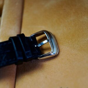 5 Franck Muller Conquistador 8005SC Automatic