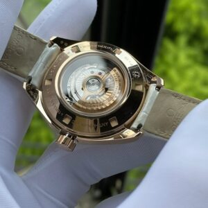 2 Omega Seamaster Aqua Terra Master CoAxial 23153342055001