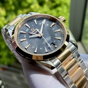 4 Omega Seamaster Aqua Terra GMT 42.5mm 231.20.43.22.06.003
