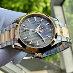 5 Omega Seamaster Aqua Terra GMT 42.5mm 231.20.43.22.06.003