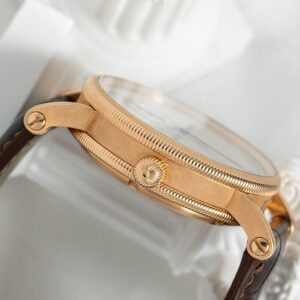 6 Chronoswiss Delphis Retrograde Jump Hour CH1421R