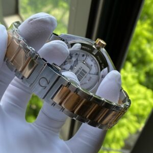 6 Omega Seamaster Aqua Terra GMT 42.5mm 231.20.43.22.06.003