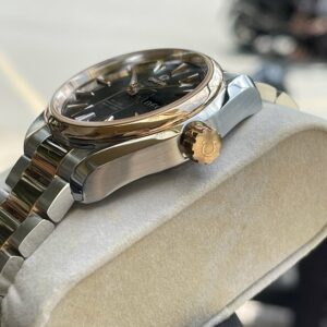 8 Omega Seamaster Annual Calendar 23120392206001