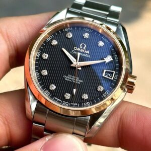 1 Omega Seamaster Aqua Terra 231.20.39.21.51.003