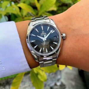 3 Omega Aqua Terra Master Co-Axial 39mm 23110392101002