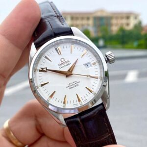 1 Omega Seamaster Aqua Terra Co-Axial Chronometer 2503.34.00