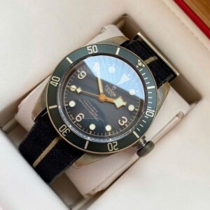 6 Tudor Black Bay Bronze M79250BA-0002 43mm Grey Dial