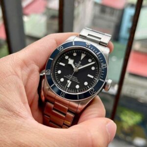 6 Tudor Heritage Black Bay M79230B-0008 Automatic