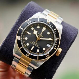 6 Tudor Heritage Black Bay Yellow Gold 41mm 79733N
