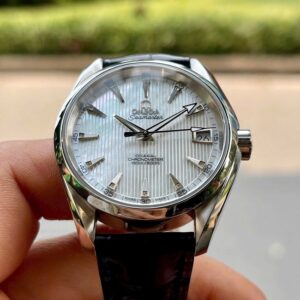 1 Omega Seamaster Aqua Terra Automatic 231.13.39.21.54.001