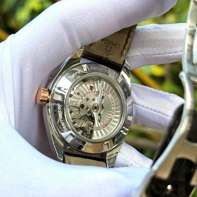 2 Omega Seamaster GMT Aqua Terra Co‑Axial 23123432206001 2 Omega Seamaster GMT Aqua Terra Co‑Axial 23123432206001