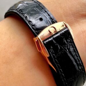 5 Omega Seamaster Aqua Terra Black Diamond 231.58.39.21.51.001