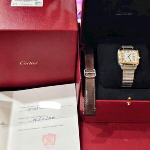 4 Cartier Santos Demi 18k Automatic W2SA0007