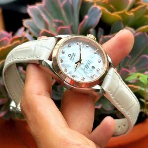 5 Omega Seamaster Aqua Terra Co-Axial 231.23.34.20.55.001