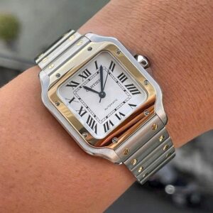 6 Cartier Santos Demi 18k Automatic W2SA0007