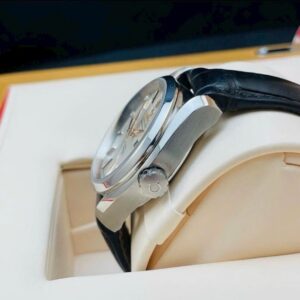 Omega Seamaster Aqua Terra Co-Axial Annual Calender 231.13.39.22.02.001 3