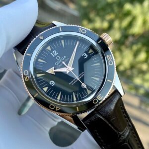 Omega Seamaster Master Chronometer 233.22.41.21.01.002 Niềng vàng 18k 6