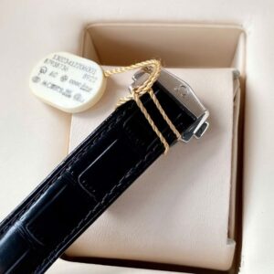 Omega bát quái lịch thường niên Demi 18k Globemaster Automatic 130.23.41.22.06.001 7