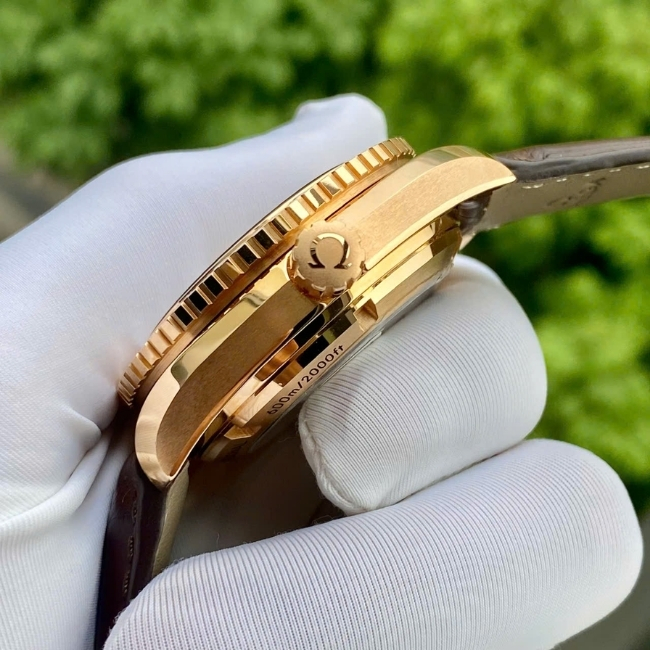 Omega Seamaster Planet Ocean Saint Moritz Vàng đúc 18k 42mm - Niềng kim zin 2 Omega Seamaster Planet Ocean Saint Moritz Vàng đúc 18k 42mm - Niềng kim zin 2