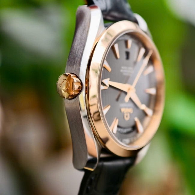 Omega Aqua Terra Daydate Bezel 18k - bản dây da - 41.5mm - Mặt số đen - Máy 8602 5