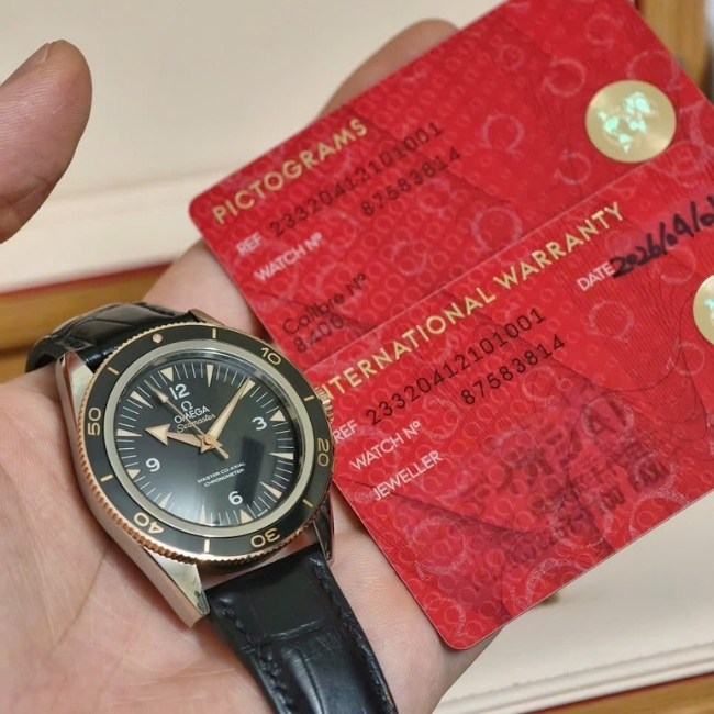 Omega Seamaster 300 41mm - Black bezel CeraGold 18k Master Chronometer bản dây da 1