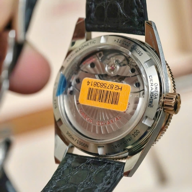 Omega Seamaster 300 41mm - Black bezel CeraGold 18k Master Chronometer bản dây da 4