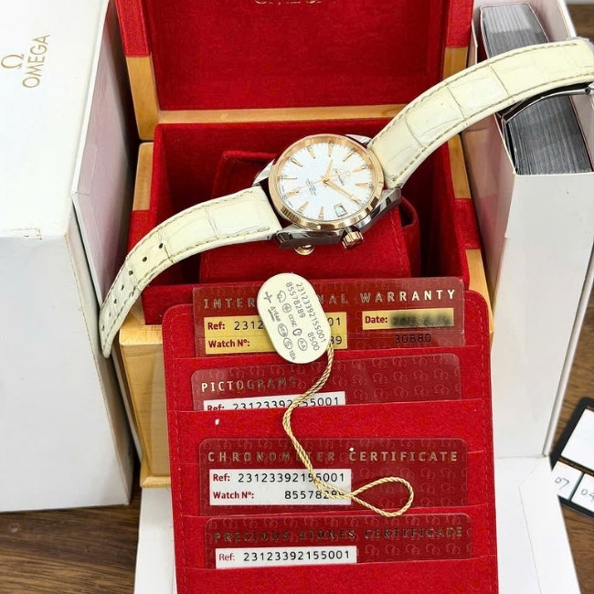 Omega Aqua Terra - mặt ngọc trai - Cọc số đính kim cương 38.5mm Demi vàng 18k 3